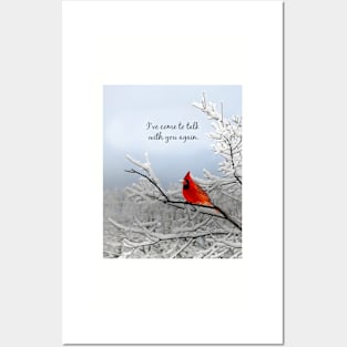 Red Cardinal Bird Photography Posters and Art